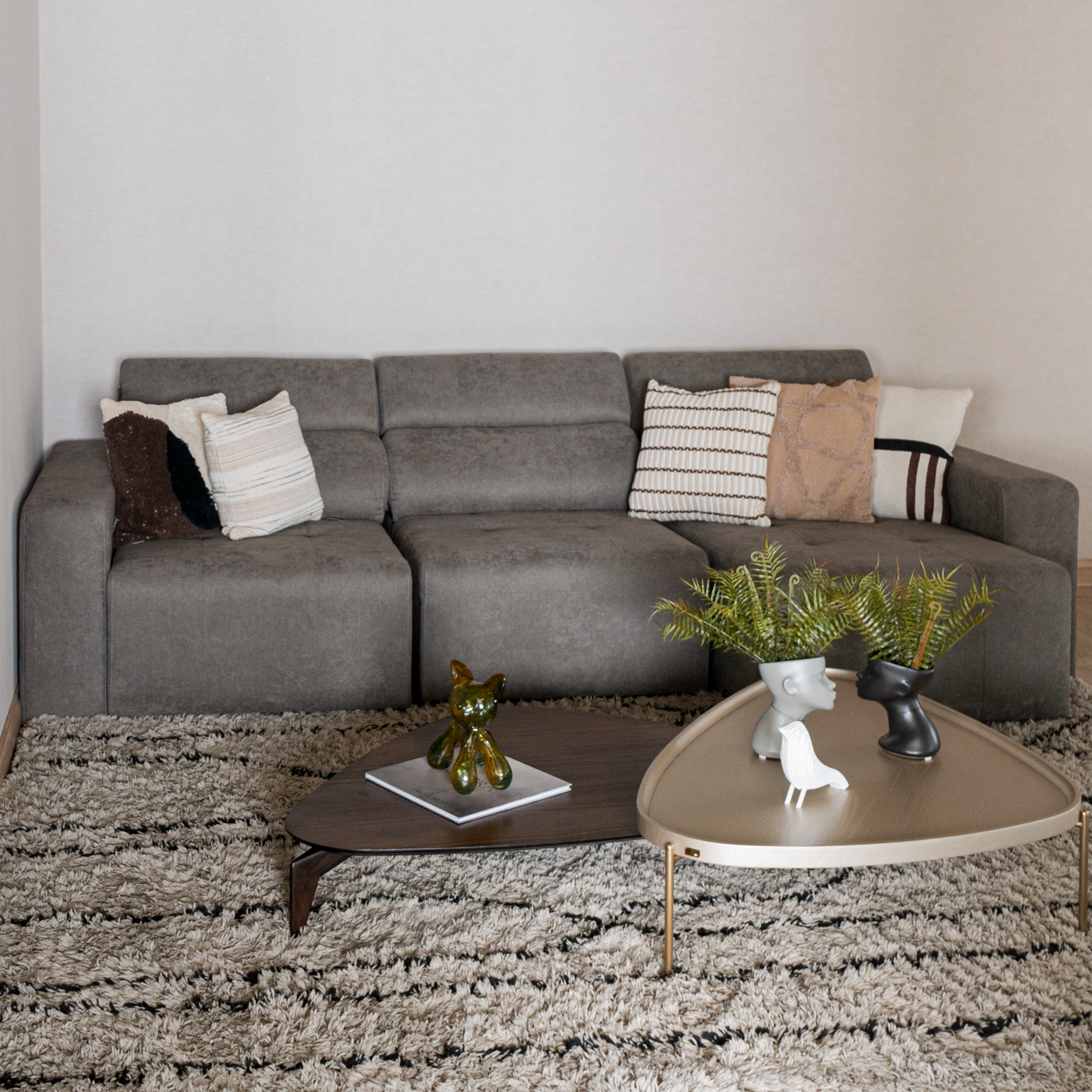 SIERRA EXTENSIBLE 3C D 12356 CENTRO BIOS CENTRO LE TOUR MT51 COJINES