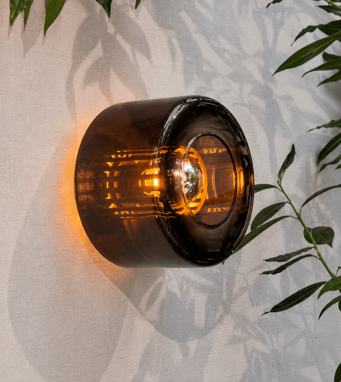 product image 11189776