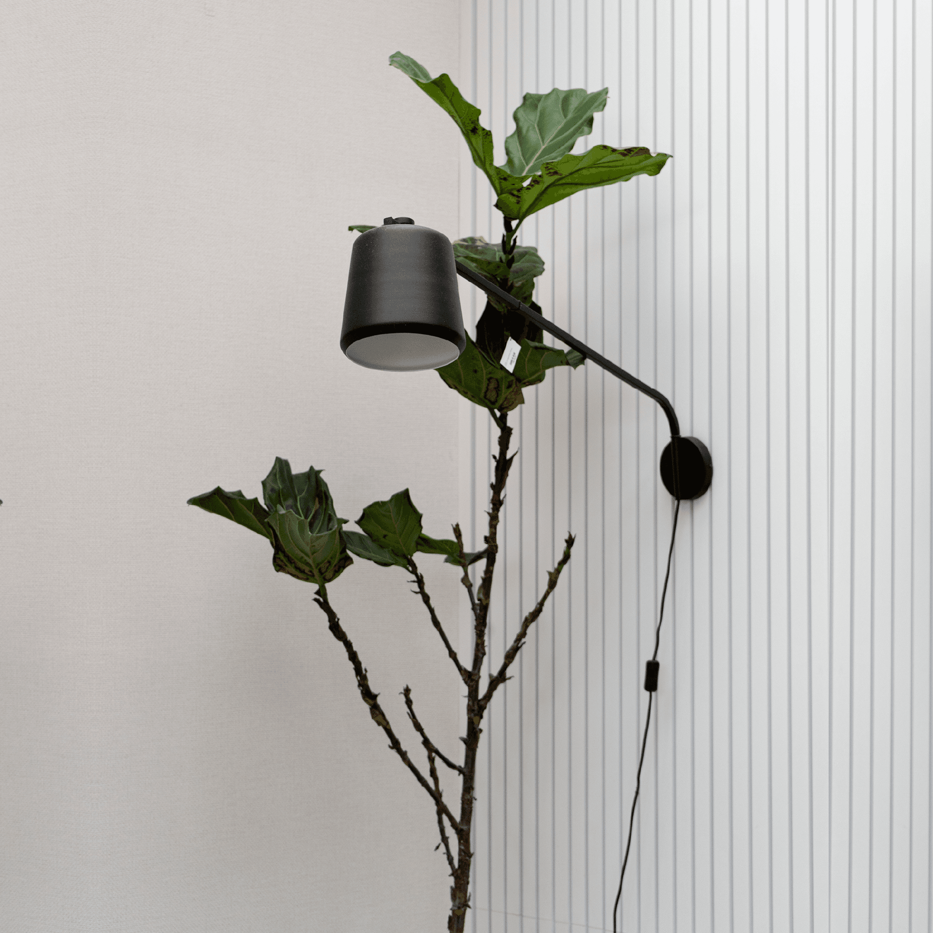 Luminaria de Pared Becka