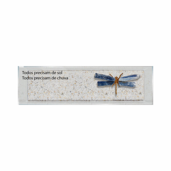 Caja de Acrilico Con Pasta Texturizada Y Mariposa Azul